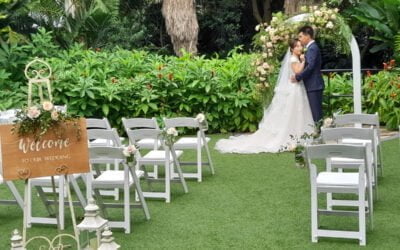 Palm Tree Lawn, Botanical Gardens, Mount Coot-Tha Wedding with Brisbane Celebrant Elva Nicolson